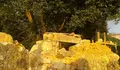 O muro da "Horta do Marqués"