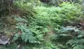 Posta en valor do patrimonio natural