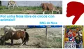 Circos con animais