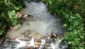 Denunciamos un novo vertido ao río San Xusto