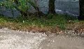 Sobre o acontecido en Xei