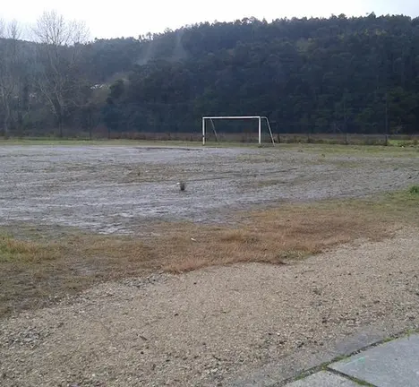 Campo2