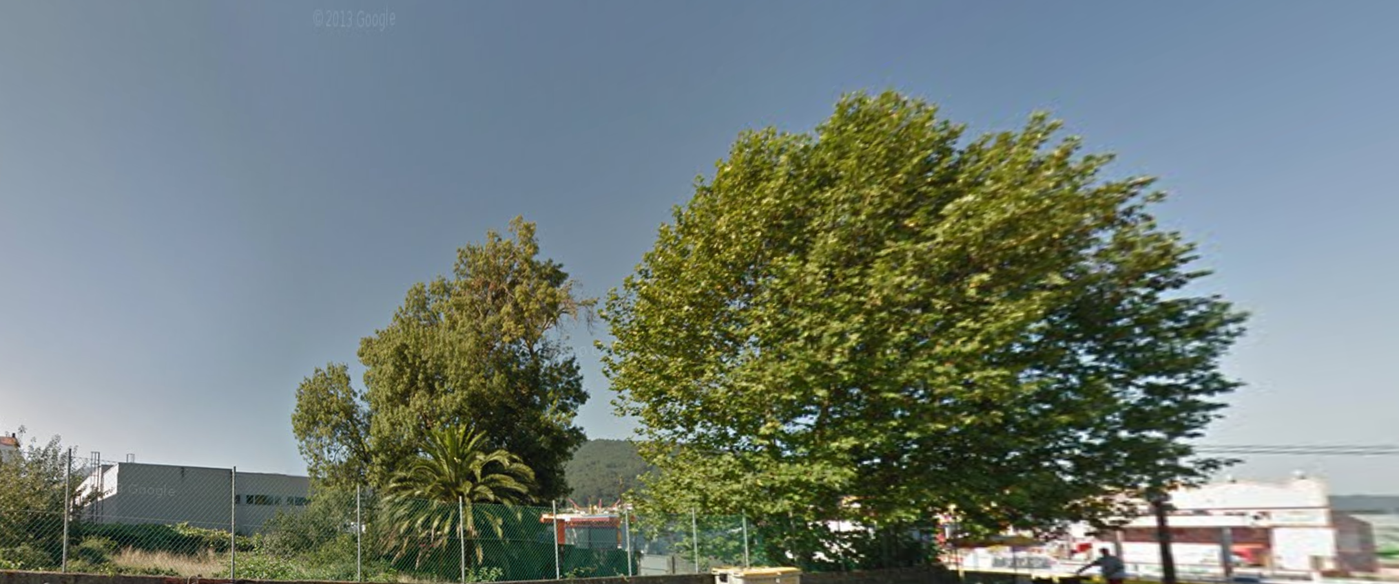 antes_araucaria